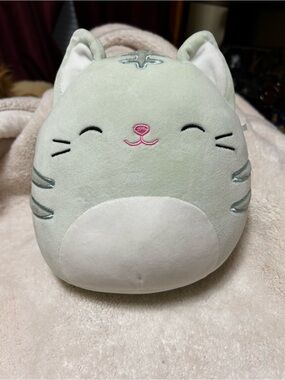Squishmellows Chase the Cat